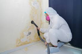 Best Mold Remediation for Healthcare Facilities  in Crugers, NY